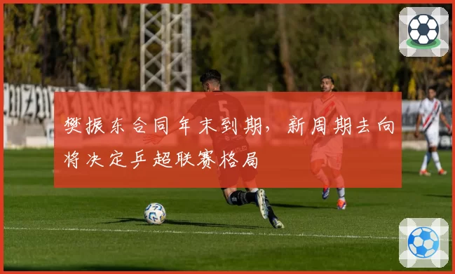 樊振东合同年末到期，新周期去向将决定乒超联赛格局