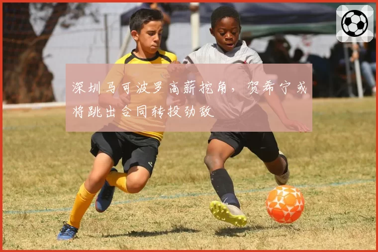 深圳马可波罗高薪挖角,贺希宁或将跳出合同转投劲敌