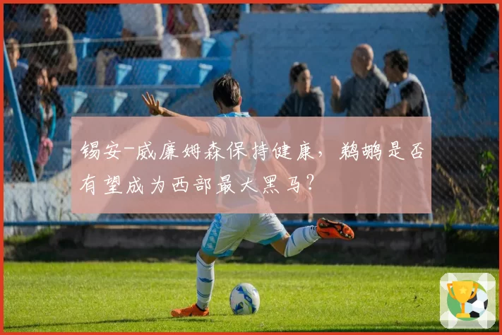 锡安-威廉姆森保持健康,鹈鹕是否有望成为西部最大黑马?